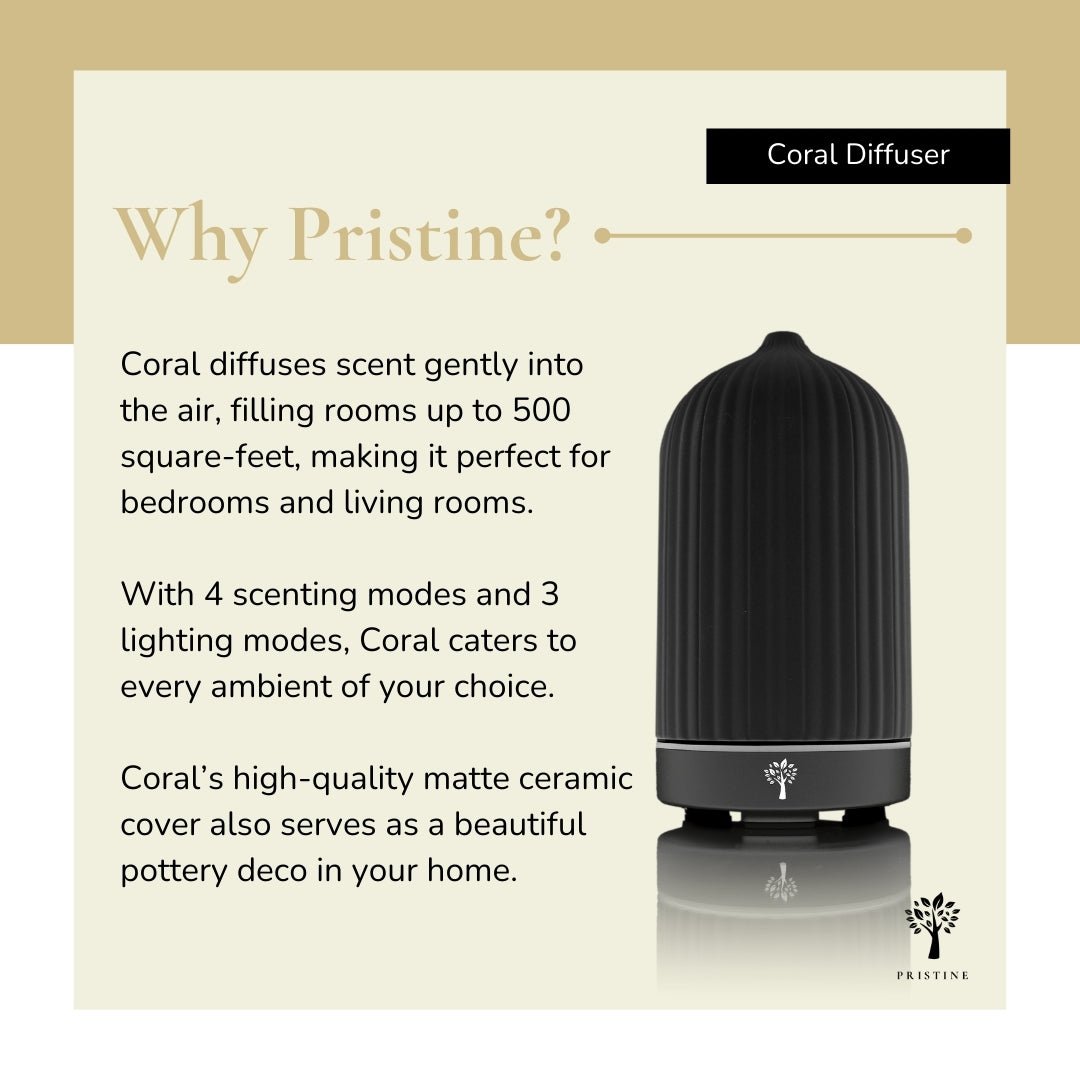 Black Coral Diffuser + 6-Pack Hotel Scent Bundle