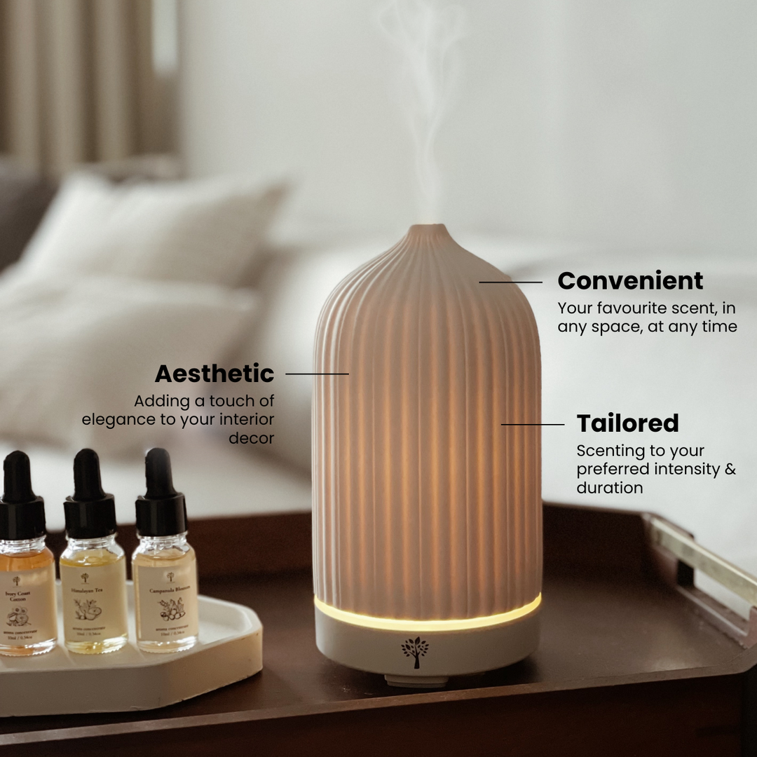 White Coral Diffuser + 4-Pack Signature Scent Bundle