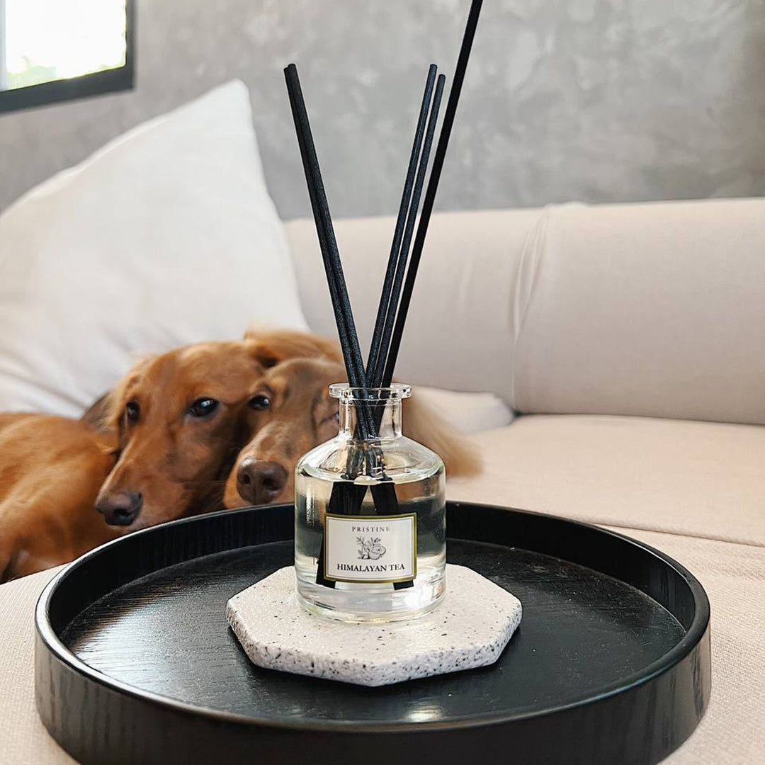 Are Reed Diffusers Safe For Pets And Kids