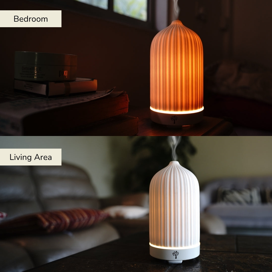 White Coral Diffuser + 4-Pack Signature Scent Bundle