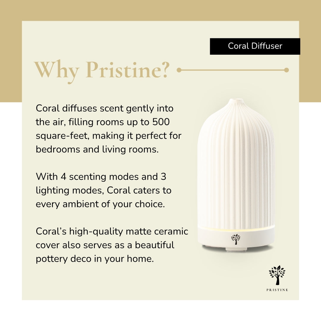 White Coral Diffuser + 6-Pack Hotel Scent Bundle