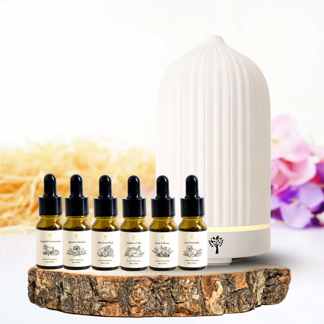 Coral Diffuser + 6-Pack Hotel Scent Bundle