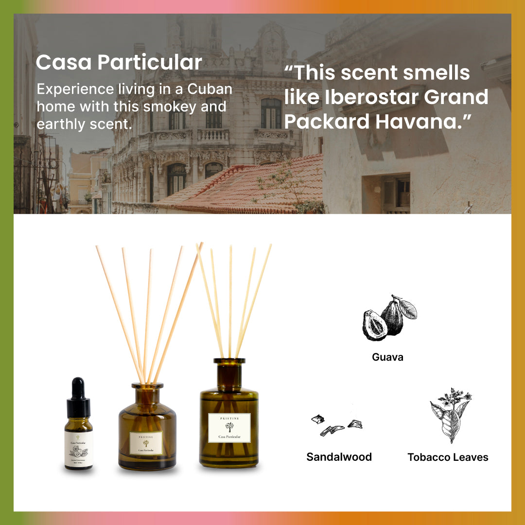 6-Pack Hotel Scent Reed Diffuser Bundle (50ml) | Pristine MY