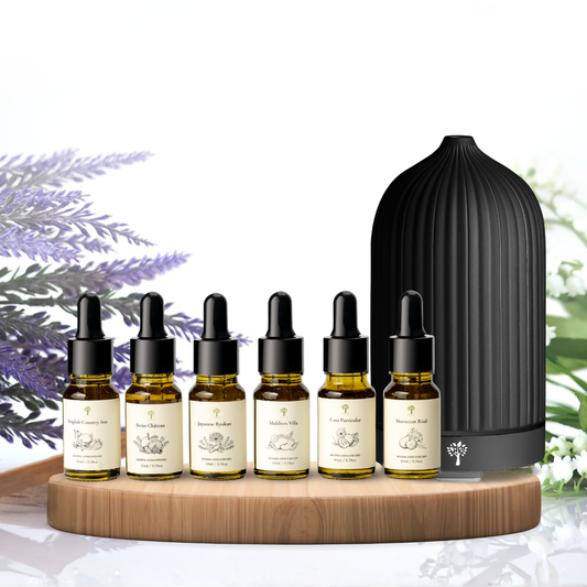Black Coral Diffuser + 6-Pack Hotel Scent Bundle