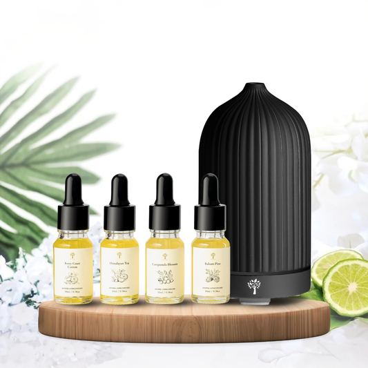 Black Coral Diffuser + 4-Pack Signature Scent Bundle