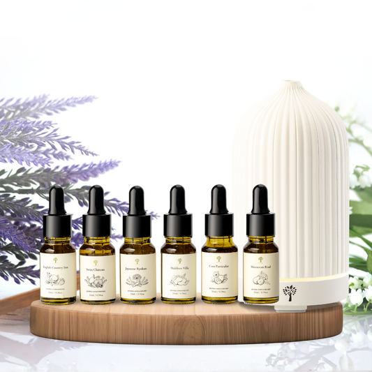 White Coral Diffuser + 6-Pack Hotel Scent Bundle