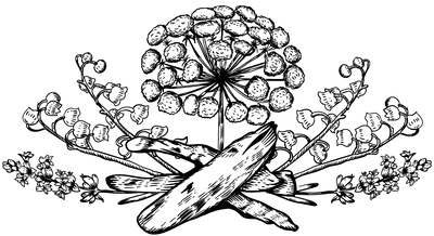 Japanese Ryokan