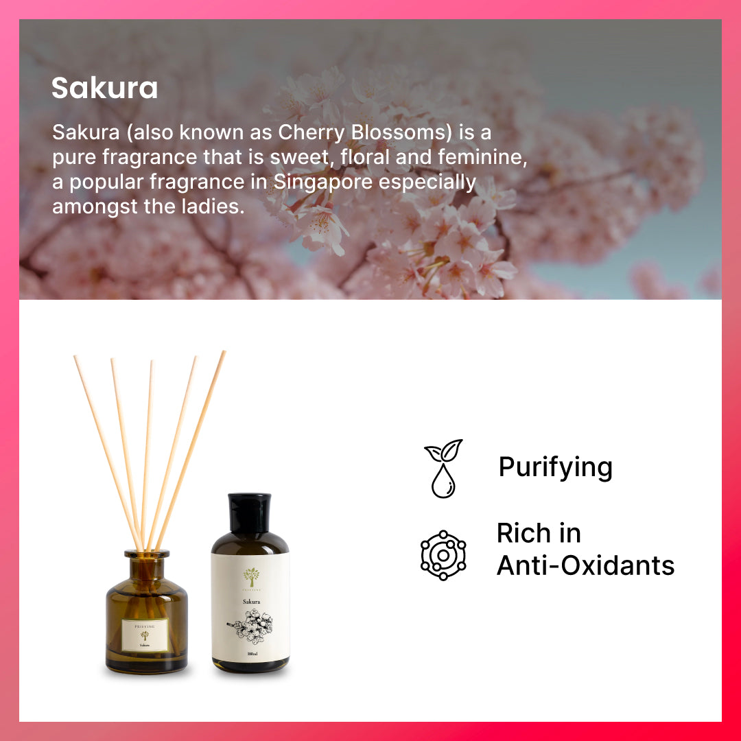 Sakura (Cherry Blossom) Reed Diffuser - 50ml | Pristine MY