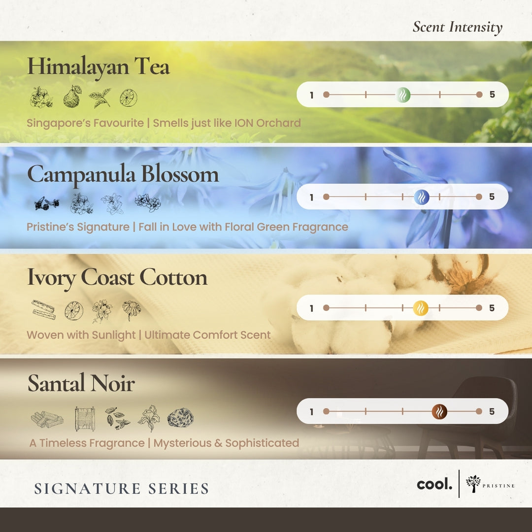 White Coral Diffuser + 4-Pack Signature Scent Bundle