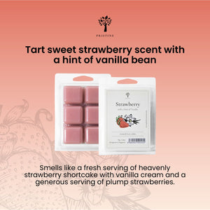 Strawberry & Vanilla Wax Melts