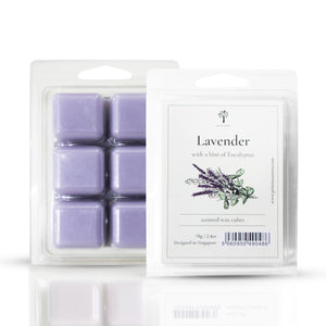 Lavender & Eucalyptus Wax Melts